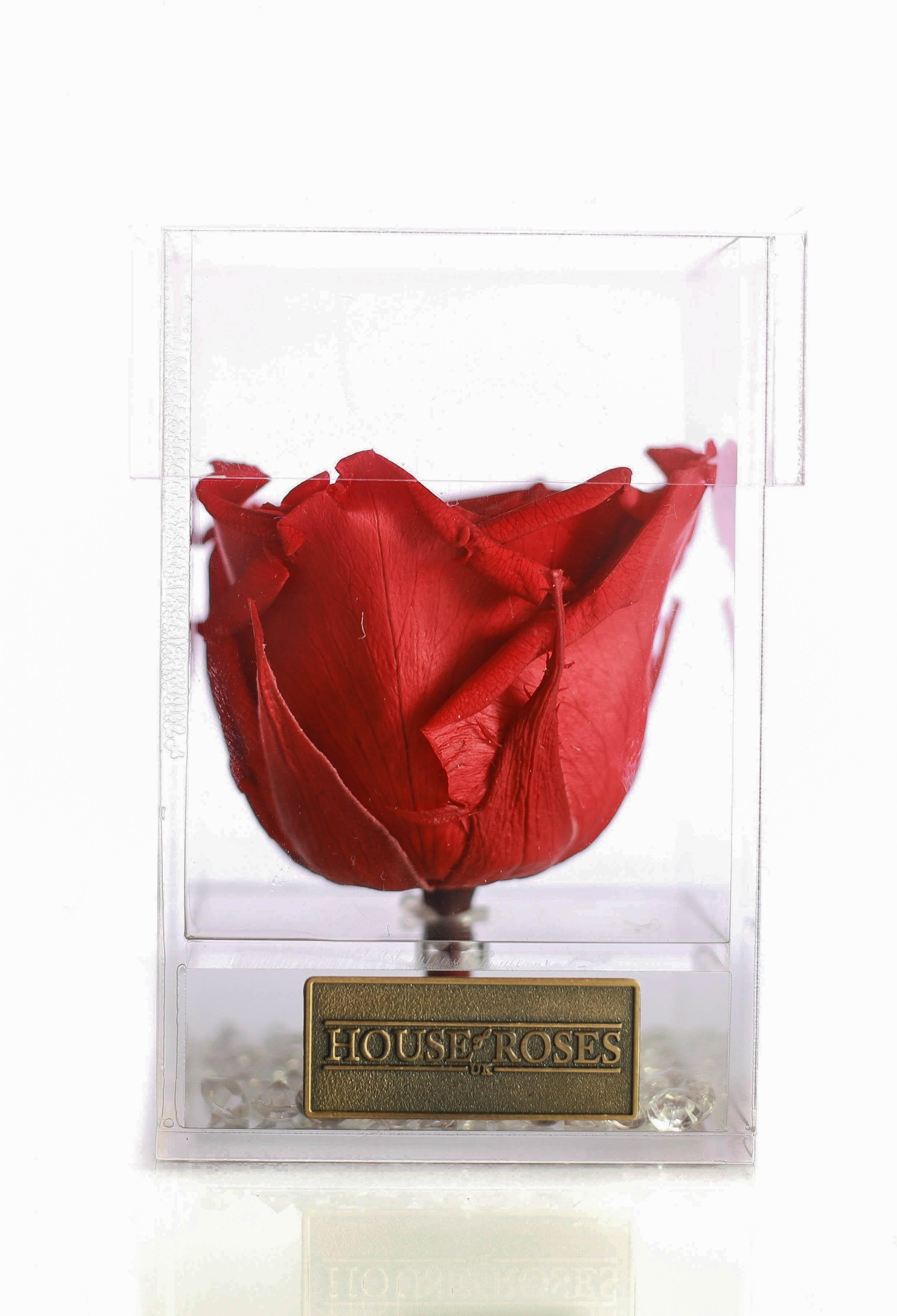 Red Eternal Rose In Cube